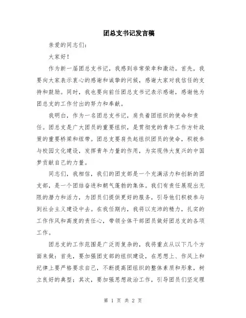 团总支书记发言稿