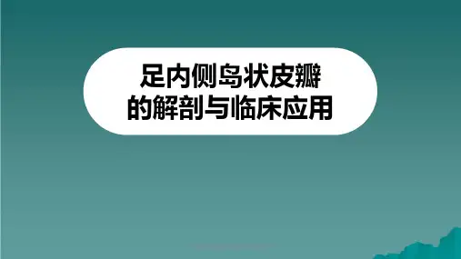 足内侧岛状皮瓣的解剖与临床应用课件