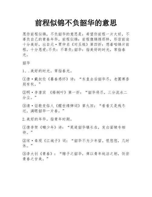 前程似锦不负韶华的意思