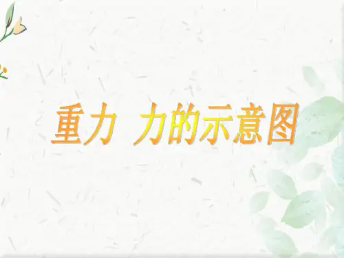 初中物理力的示意图ppt
