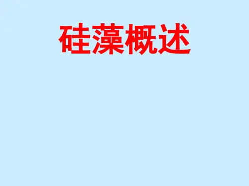 硅藻概述