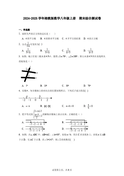 2024-2025学年湘教版数学八年级上册期末综合测试卷
