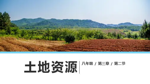 土地资源 教学课件2022-2023学年人教版地理八年级上册