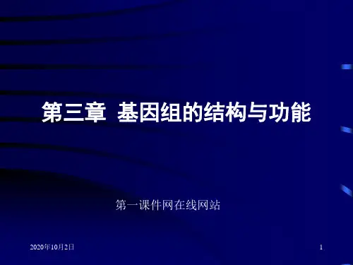 分子生物学基础课件下载-基因组的结构与功能PPT课件