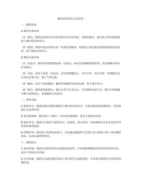 根的结构知识点总结初一