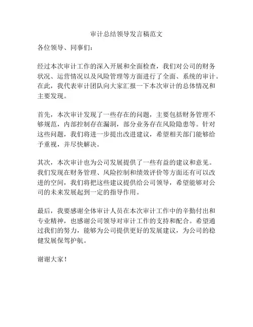 审计总结领导发言稿范文