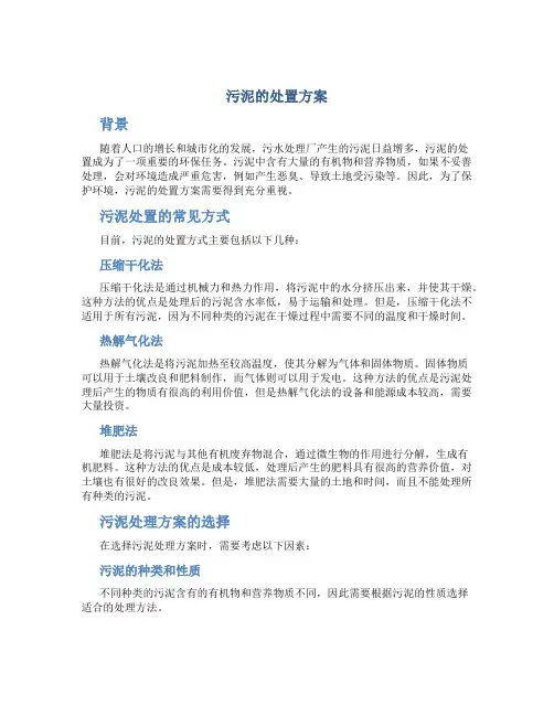 污泥的处置方案