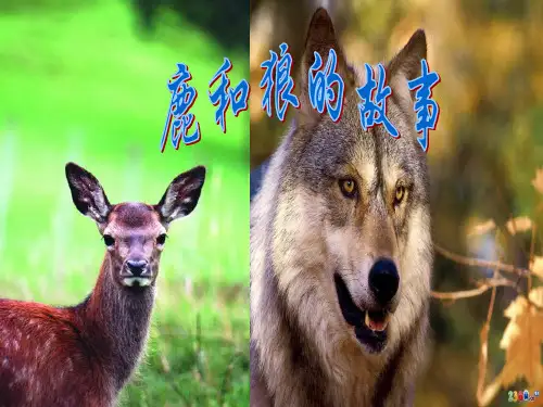 语文六年级上人教新课标《鹿和狼的故事》课件(152)(22张)