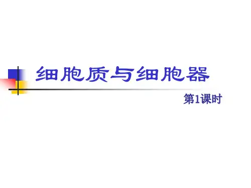 细胞质与细胞器