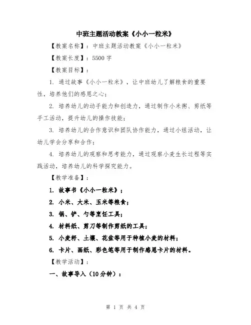 中班主题活动教案《小小一粒米》