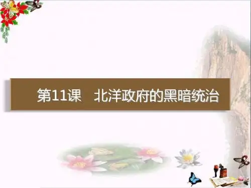 人教部编版八年级历史上册第11课 北洋政府的黑暗统治课件(共23张PPT)