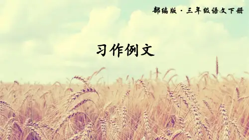新统编人教版三年级下语文习作例文优质课课件