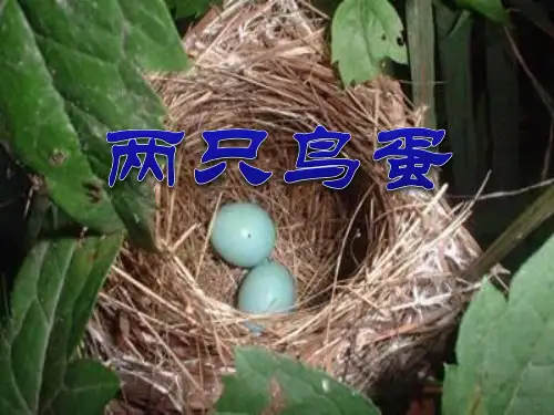 《两只鸟蛋》-一年级下册语文PPT课件