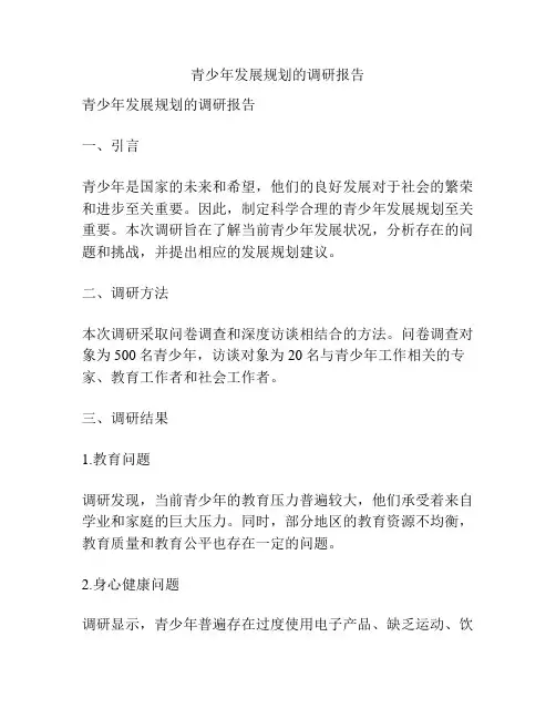 青少年发展规划的调研报告