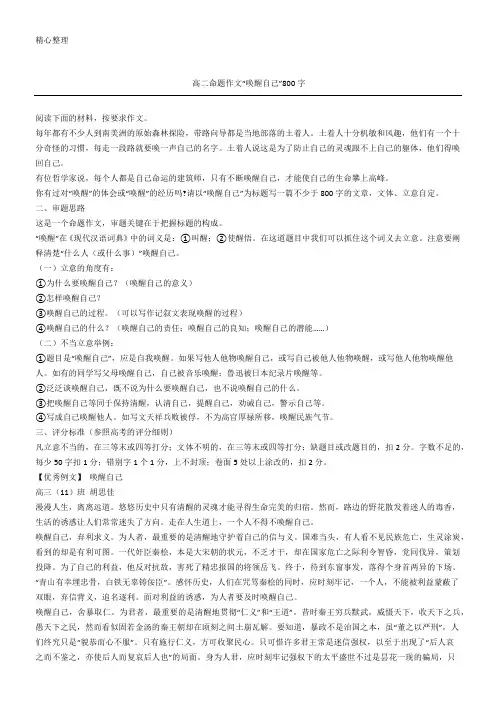 高二命题作文“唤醒自己”800字