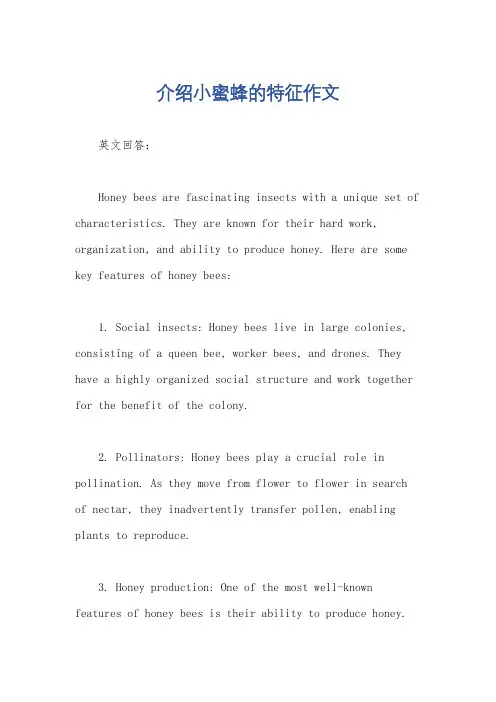 介绍小蜜蜂的特征作文