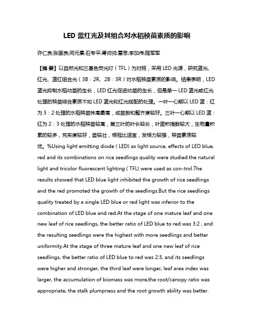 LED蓝红光及其组合对水稻秧苗素质的影响