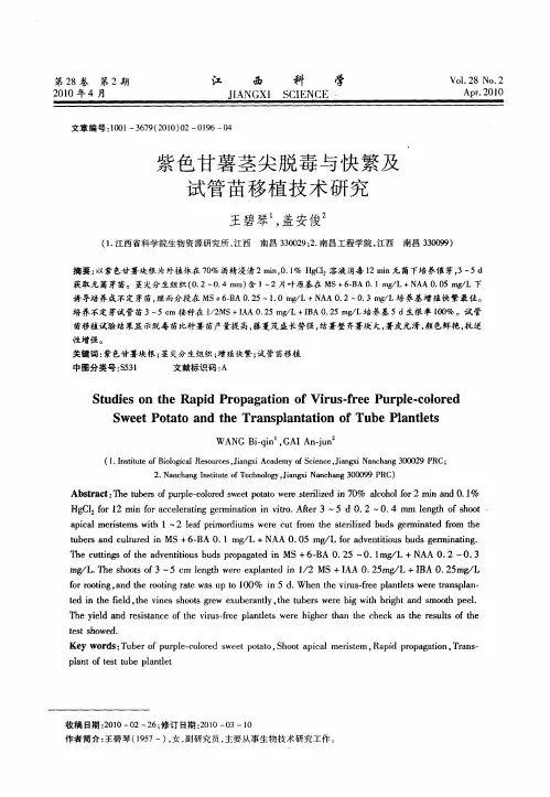 紫色甘薯茎尖脱毒与快繁及试管苗移植技术研究