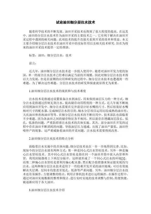 试论油田细分层注水技术