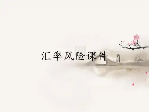 汇率风险课件