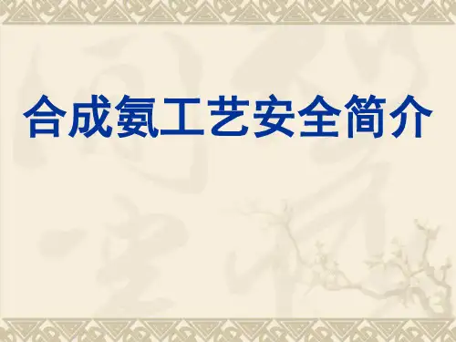 合成氨工艺安全简介
