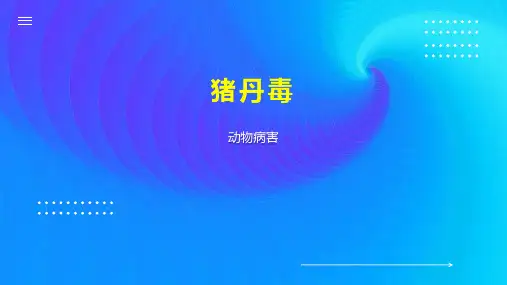 猪丹毒    