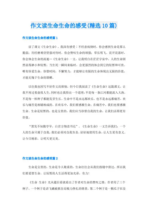 作文读生命生命的感受(精选10篇)