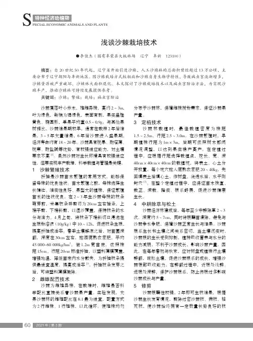 浅谈沙棘栽培技术