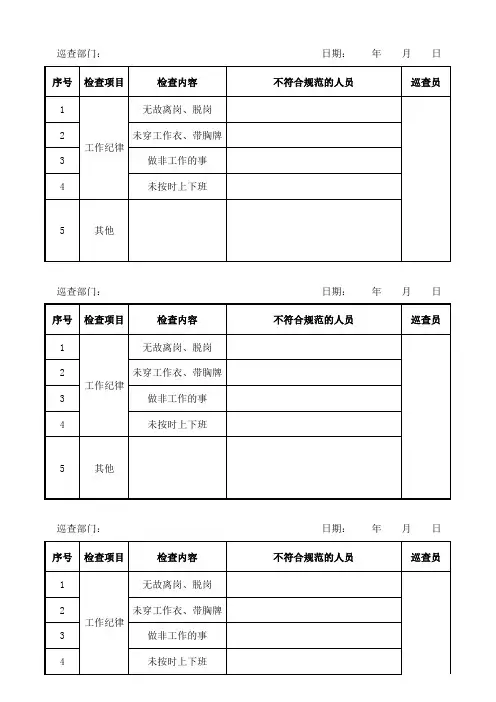 工作纪律日常巡查记录表