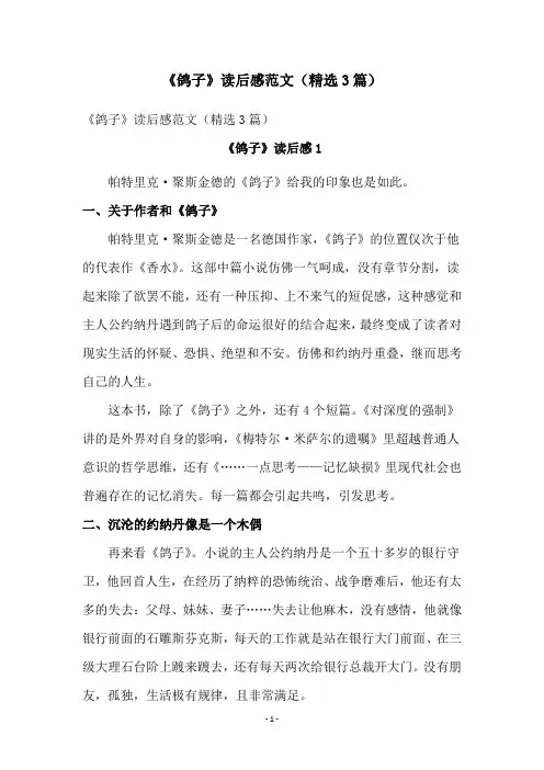 《鸽子》读后感范文(精选3篇)