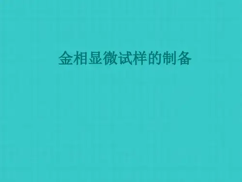 金相试样的制备