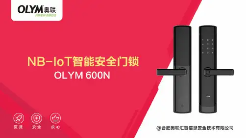 NB-IOT智能安全门锁OLYM 600N