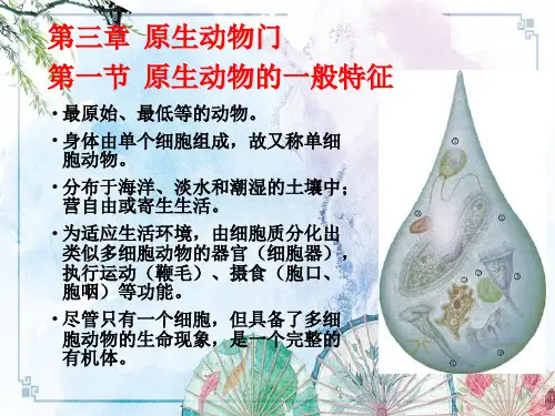 【动物学】02.原生动物