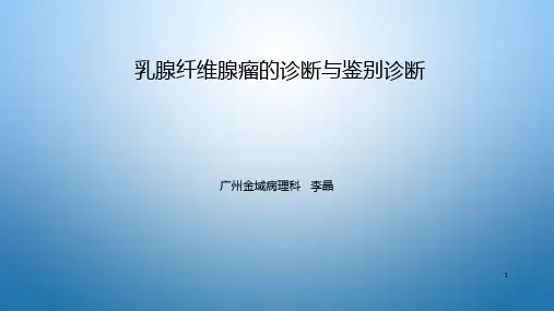 纤维腺瘤的病理诊断与鉴别诊断PPT课件
