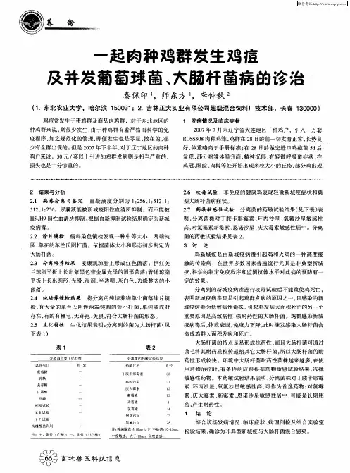 一起肉种鸡群发生鸡痘及并发葡萄球菌、大肠杆菌病的诊治