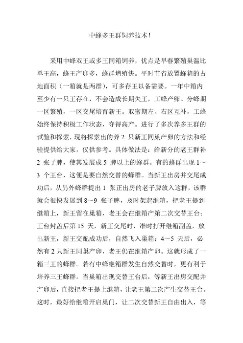 中蜂多王群饲养技术!