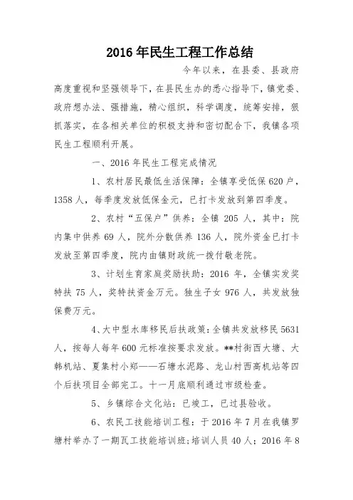 2016年民生工程工作总结