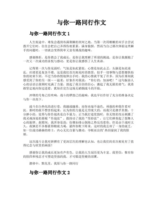 与你一路同行作文