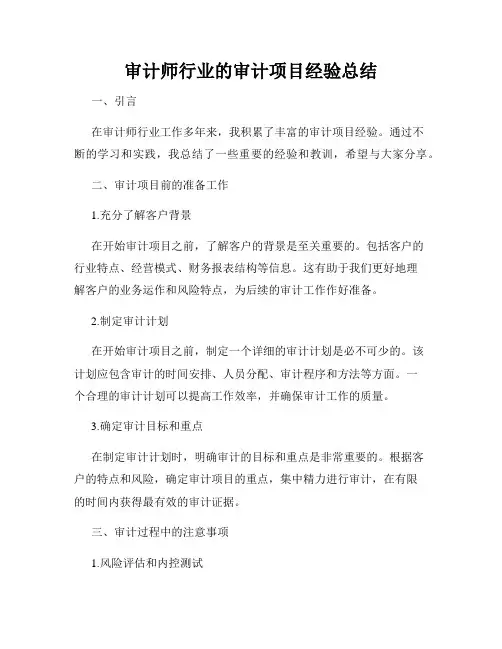 审计师行业的审计项目经验总结