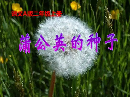 《蒲公英的种子》PPT课件