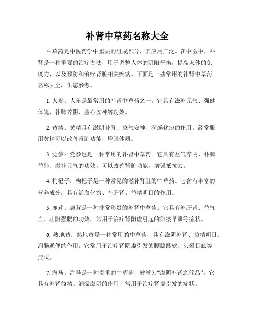 补肾中草药名称大全