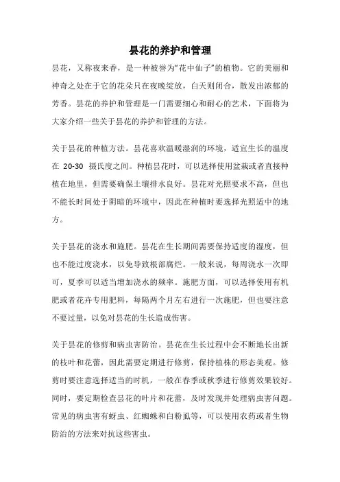 昙花的养护和管理
