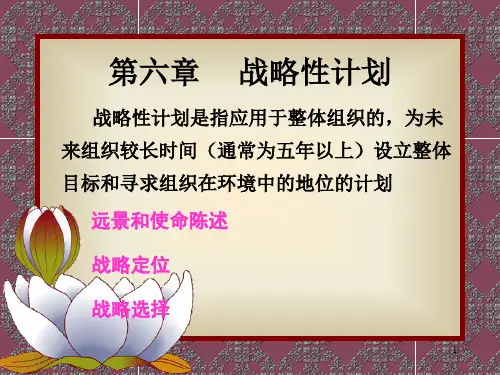 管理学6战略性计划PPT课件