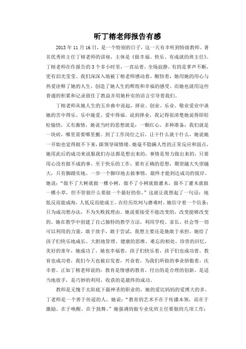 听丁榕老师报告有感