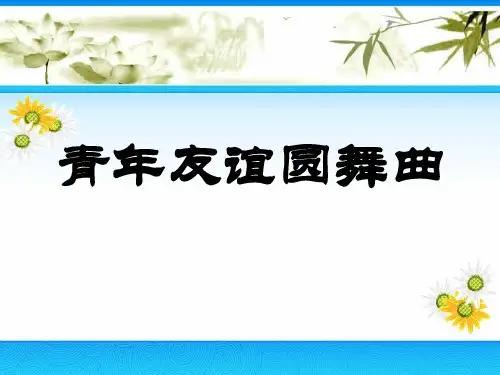 《青年友谊圆舞曲》PPT课件
