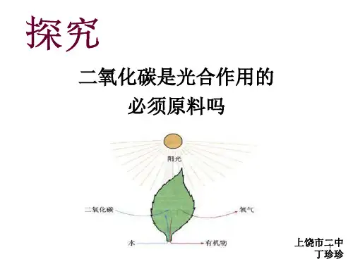 -精选版初中生物创新实验说课