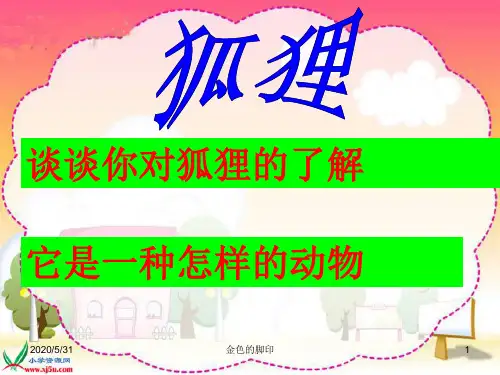 金色的脚印ppt课件