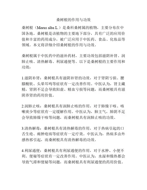 桑树根的作用与功效