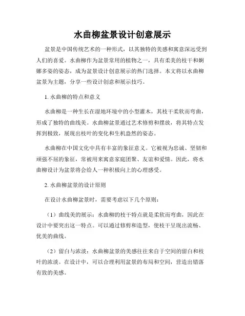 水曲柳盆景设计创意展示