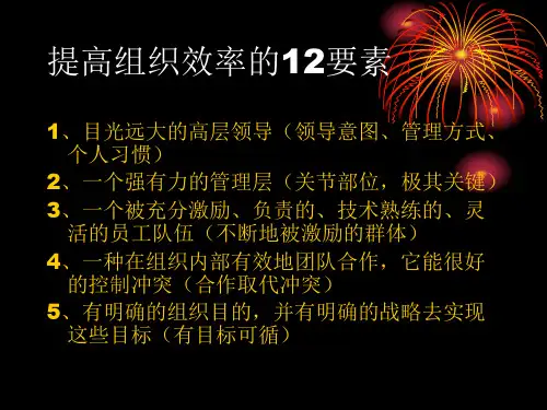 提高组织效率的12个要素